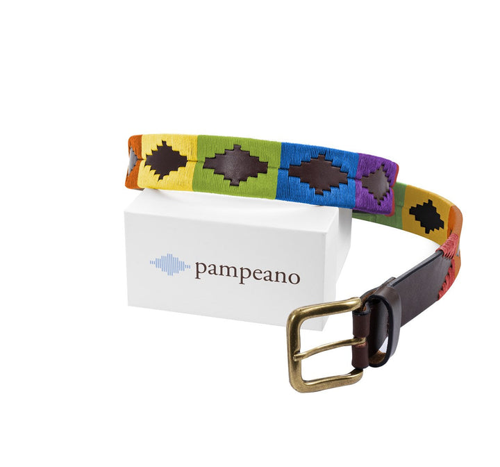Choice of Any 2 Leather Polo Belts and Dog Collar - Gift Package - pampeano UK