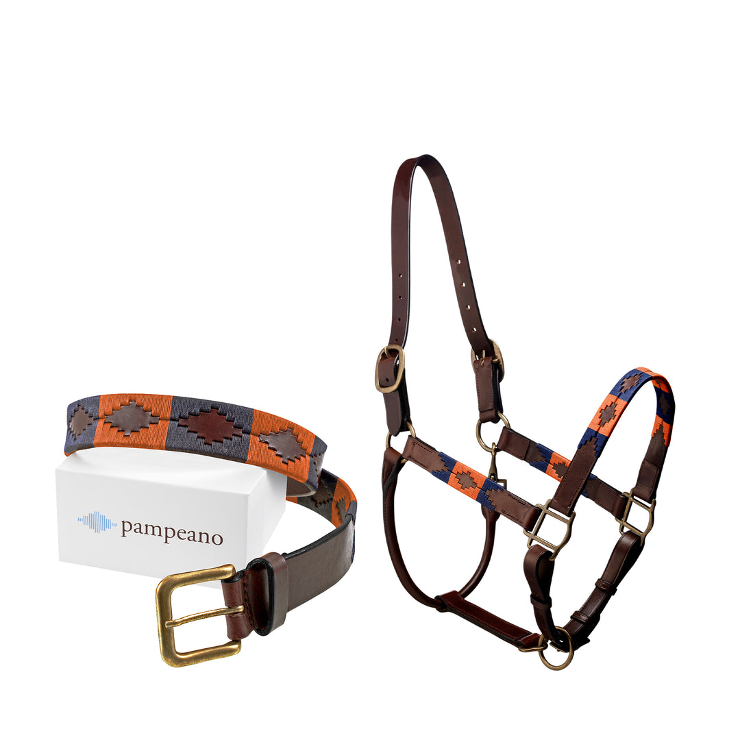 Choice of Any Leather pampeano Belt and Headcollar - Gift Package - pampeano UK