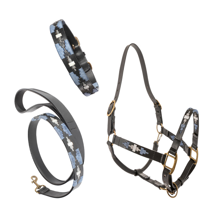 Choice of Any Leather Headcollar, Dog Collar and Lead - Gift Package - pampeano UK