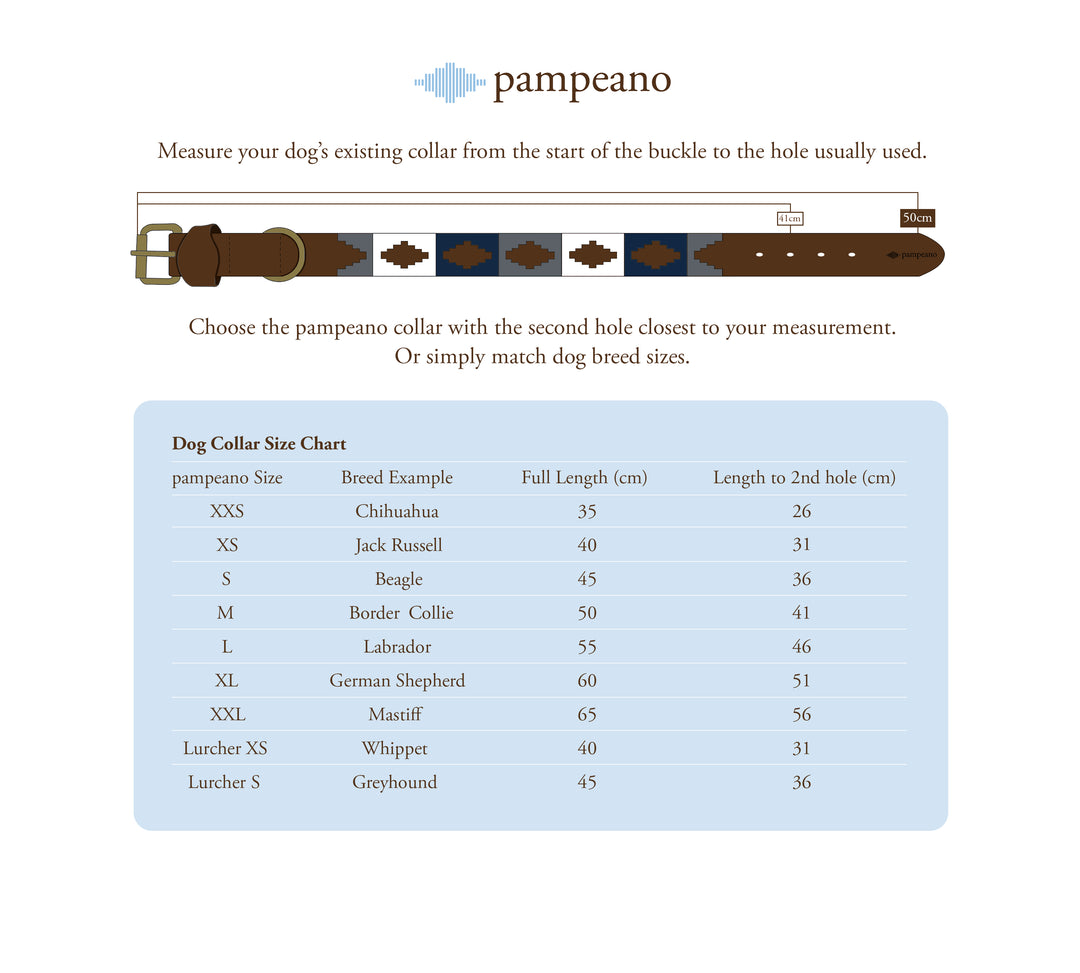 Choice of Any 2 Leather Dog Collars - Gift Package - pampeano UK