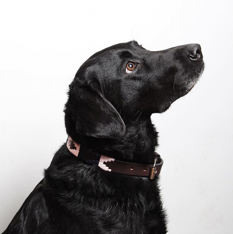 Dog Collar - 'Hermoso' - Pampeano UK